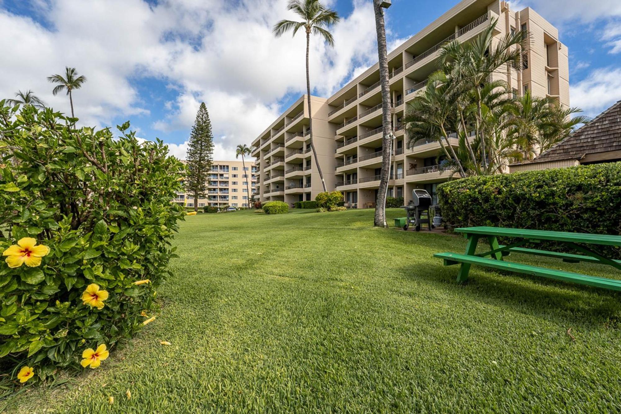 Koa Lagoon 506, 1 Bedroom, 5th Floor, Ocean Front, Pool Kihei Buitenkant foto